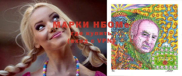 твердый Арсеньев