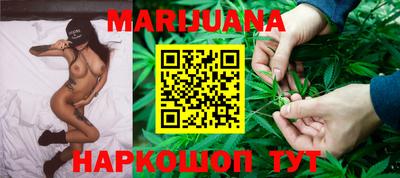 сатива Ставрополь