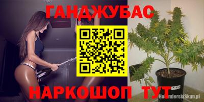 сатива Ставрополь