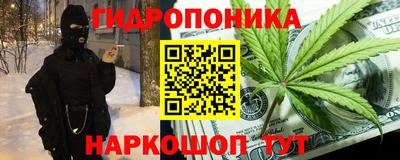 сатива Ставрополь