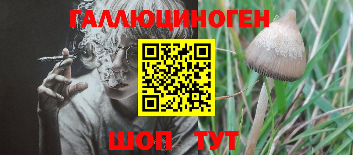 Нарьян-Мар  Галлюциногенные грибы мицелий  Псилоцибиновые грибы мицелий  Вход с VPN 